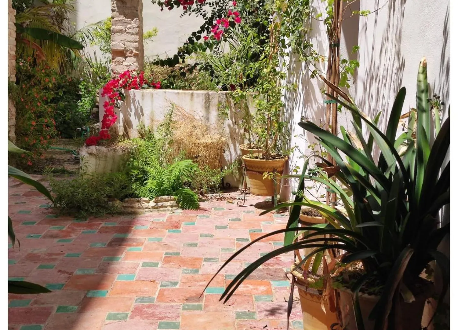 La Baraka Apartamento Jerez de la Frontera Lägenhet